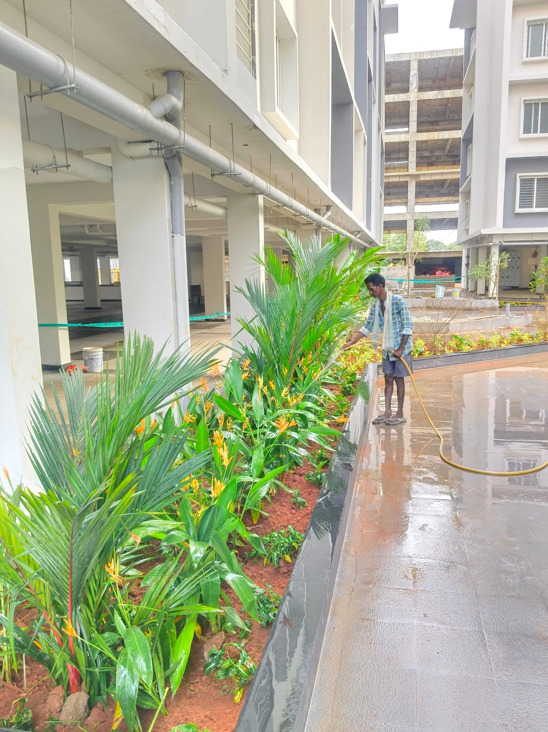 Kakinada Penugudhuru 3